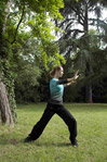 claire lextray joelle rollet federation de qi gong art energetique feqgae